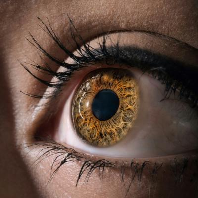 Contact Lens